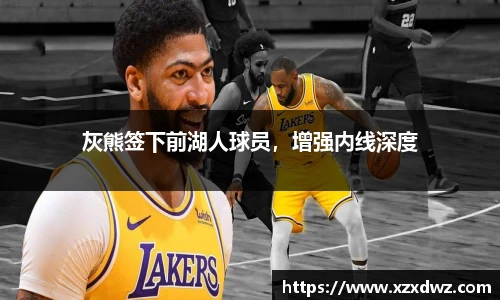 B体育bsports