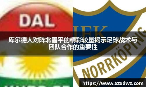 bsports官网入口