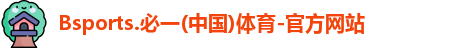 B体育官网